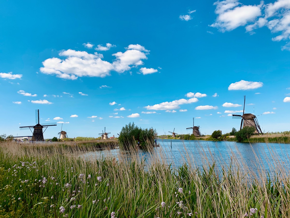 River,,Old,Windmills,On,Dutch,Landscape,,Kinderdijk,Is,A,Village